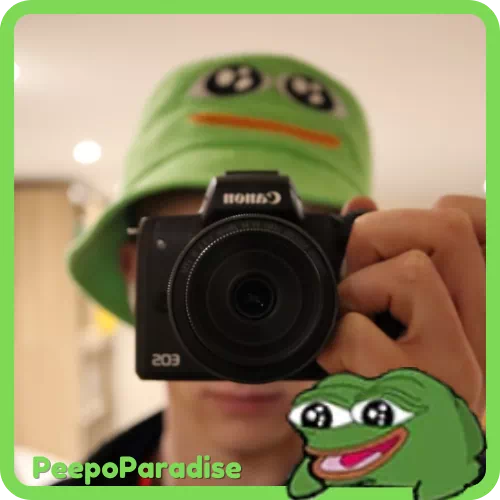 Pepega Pillow 18 - PeepoParadise